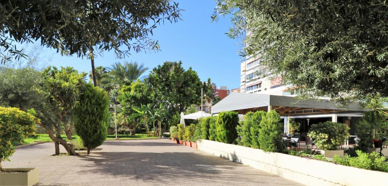 Penthouse Cervantes Sea View Μπένιντορμ Εξωτερικό φωτογραφία
